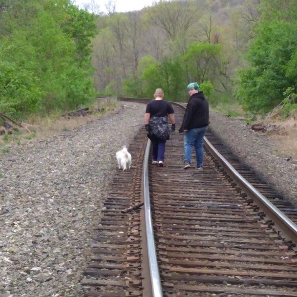 Meet your Posher, Opal - Picture 1 of 1